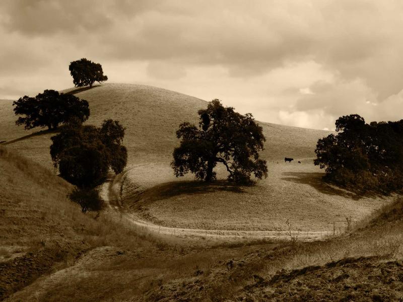 sudoku master screenshot 2