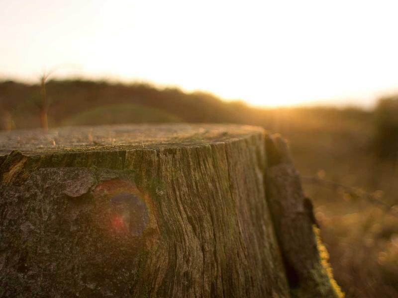 sudoku learning tool